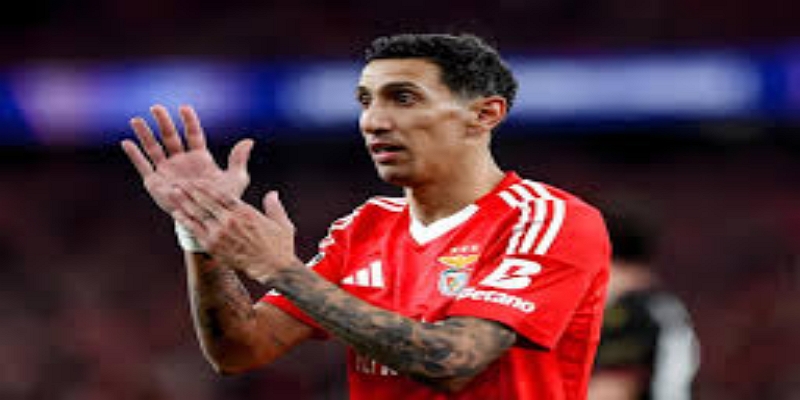 杰拉德战术体系下的青年才俊：星空体育的独到观察-星空体育