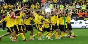 终极预测：沙拉盘花落谁家？-星空体育