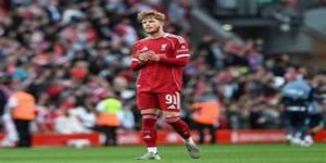 保级前景分析：星空体育最终概率评估-星空体育