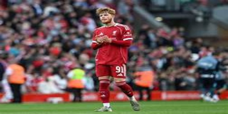 保级前景分析：星空体育最终概率评估-星空体育